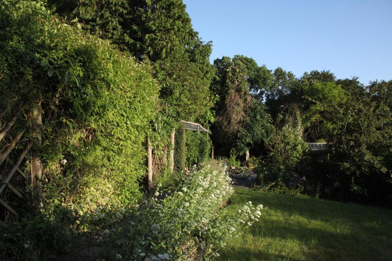 Spacious home in Bath, nature&city! Exterior foto